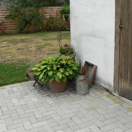 Ferienhaus Zum Gruenen Holz Zetel Eksteriør bilde