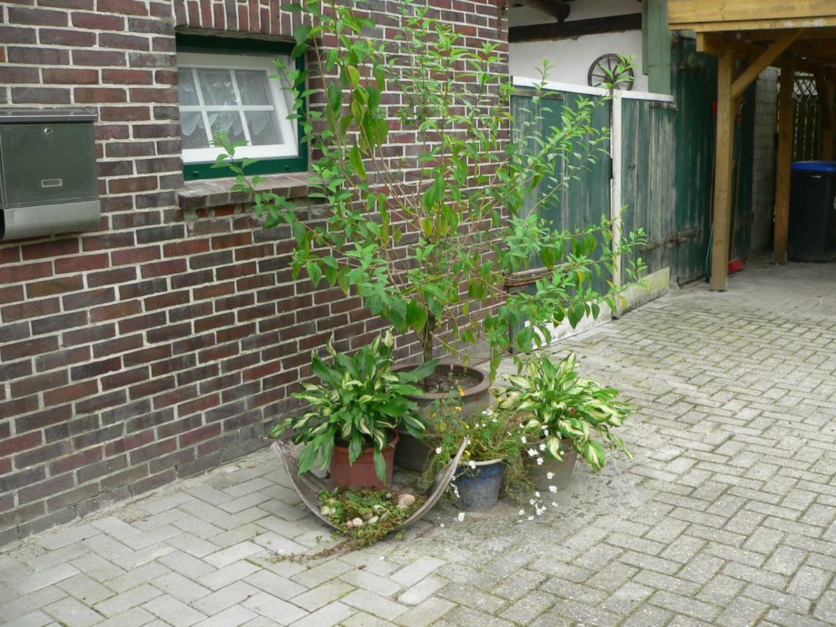 Ferienhaus Zum Gruenen Holz Zetel Eksteriør bilde
